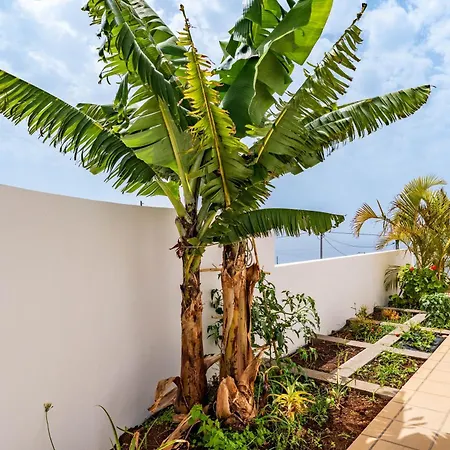 Quinta Dos Louros Estreito Da Calheta