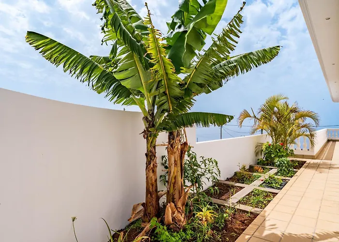 Quinta Dos Louros Estreito Da Calheta